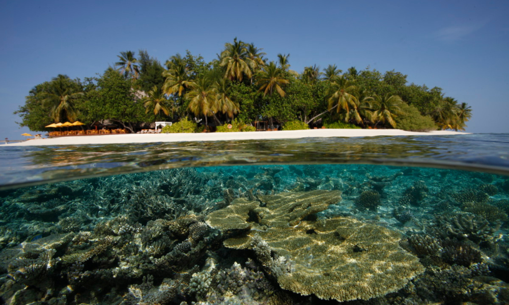 Dhuwa Ihuru underwater shot