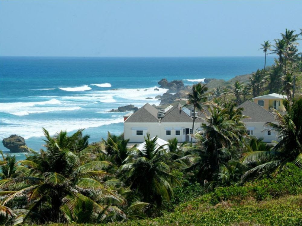 Barbados East Coast Surfing