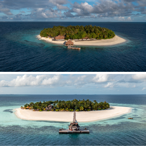 Dhawa and Banyan Tree