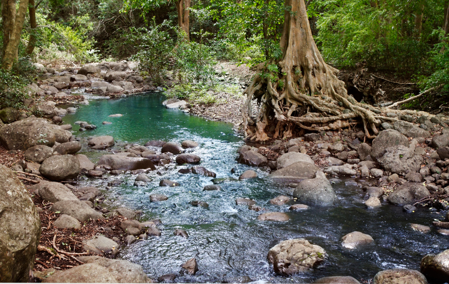 Black River Gorges in Mauritius