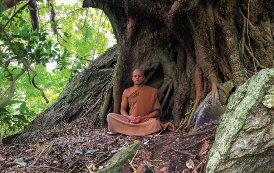 Forest Monastery with a Hermit Monk