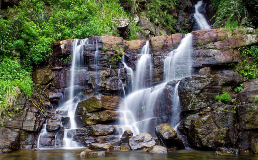 Mountain & Waterfall Hike with a Naturalist 