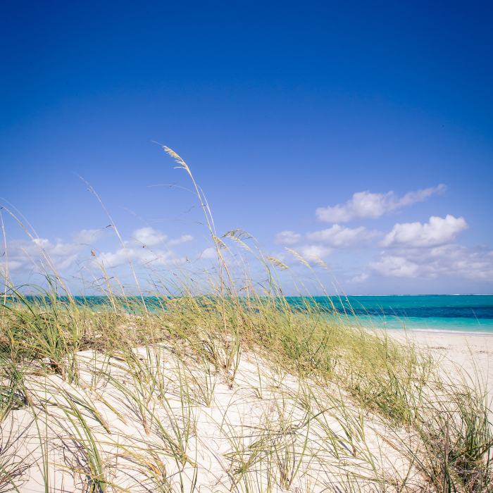 Turks & Caicos