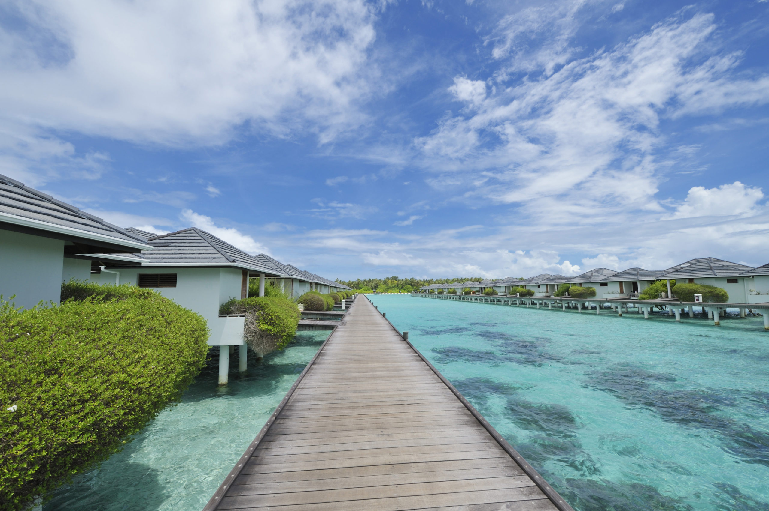 Island resort spa мальдивы. Сан Исланд Мальдивы отель. Sun Island Resort & Spa 5 ***** (Ари Атолл). Остров Налагурайду Мальдивы. Sun Island Resort Spa 5 Sun Villa.